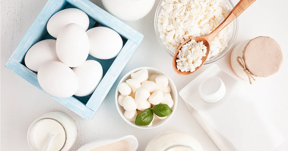 The Impact of Protein on Kidney Function: How Much is Too Much The Impact of Protein on Kidney Function: How Much is Too Much