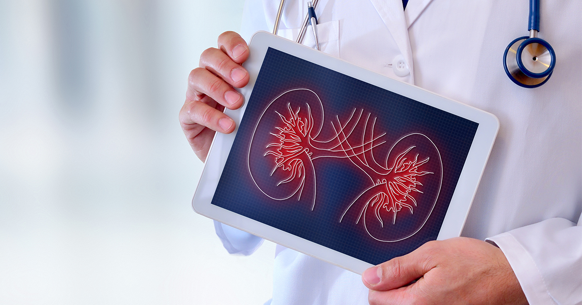 The Vital Role of Kidneys: Understand How They Maintain Our Optimal Health