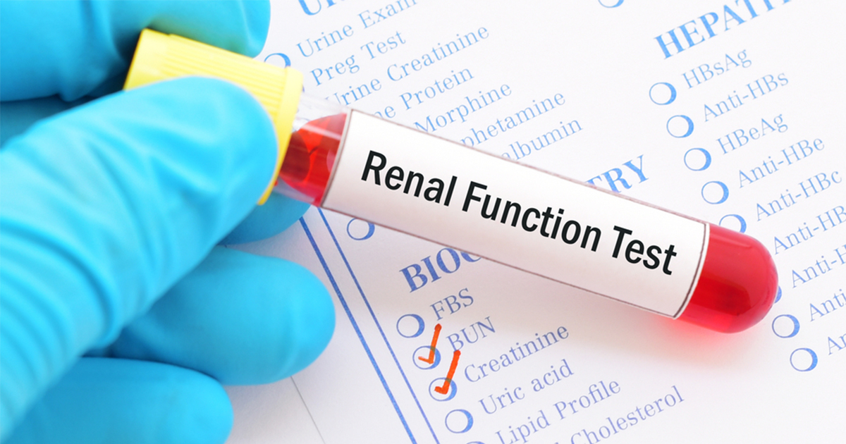Understanding Kidney Health Level Indications: What They Reveal About Your Kidneys