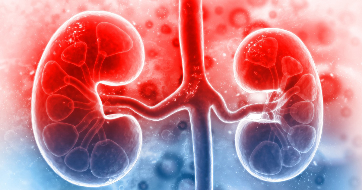 Understanding Kidney Failure: Prevention and Early Detection