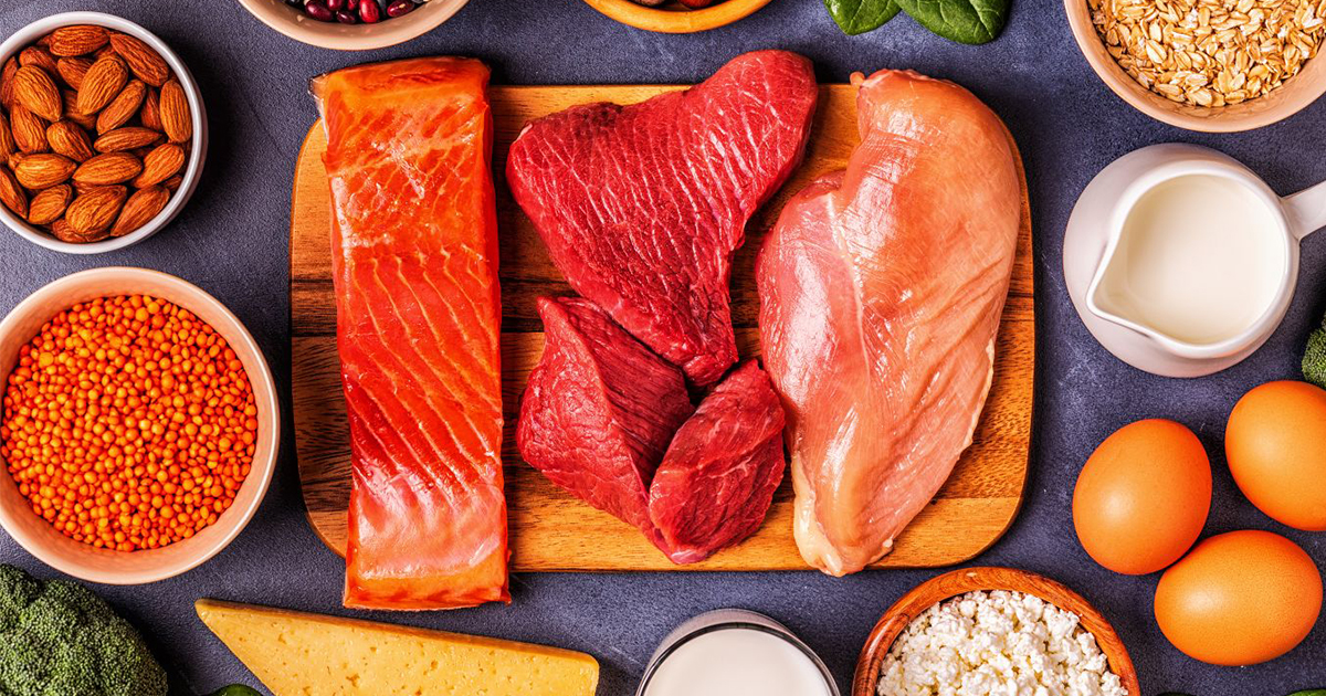 Protein Intake: A Guide to Healthy Choices