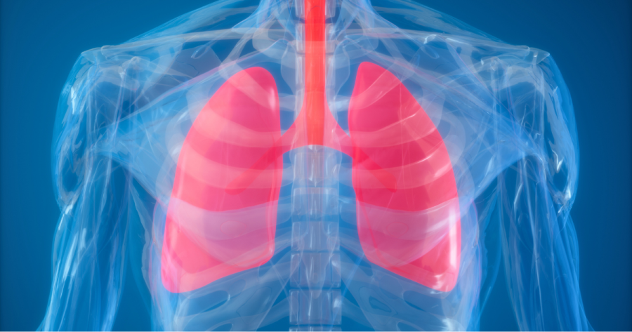 The Surprising Connection Between Your Lung and Kidneys